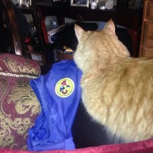 Meet your Posher, Luis